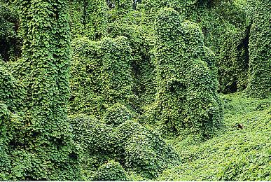 SIE前主管：PlayStation游戏移植到Xbox并不值得