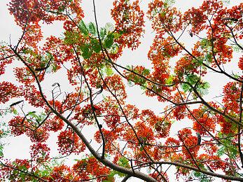 Steam最新一周销量榜 Steam Deck成功登顶